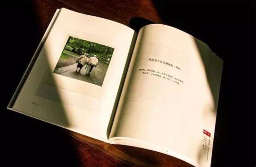 感悟人生的经典人生哲理短句,人生哲理的句子经典语录人生感悟