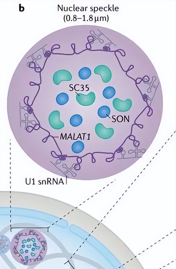 nature最新论文,nature论文最新发现