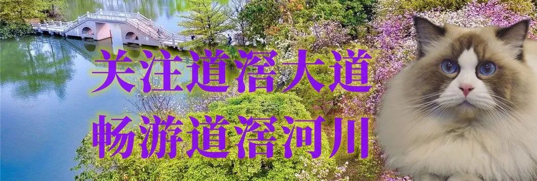 道滘掌洲产的新型“科技膜”，领军国际市场