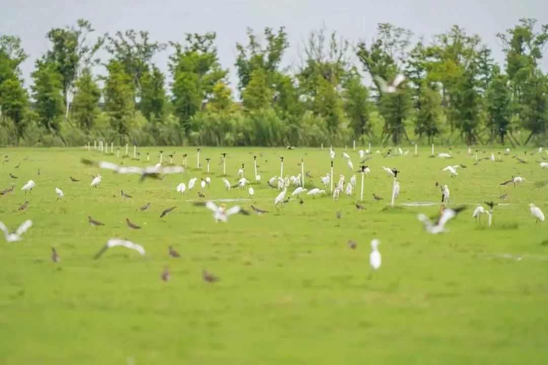 新华社幸福感城市,新华社民生幸福感