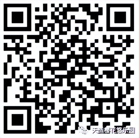 新春攻略生肖派对,新年怎么玩好玩