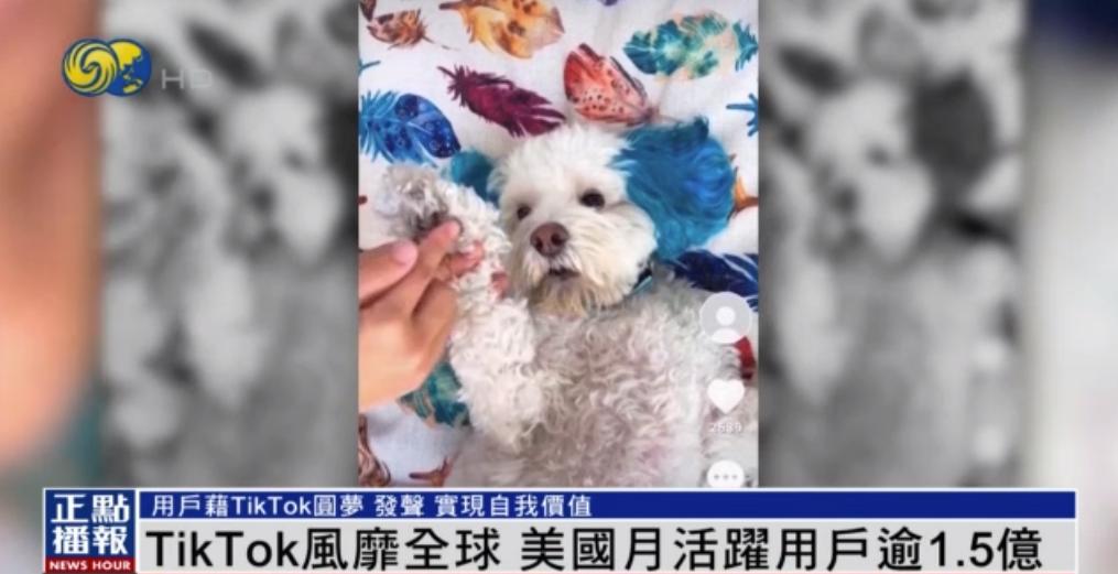 tiktok首席执行官说话被打断,tiktok首席执行官会说中文吗