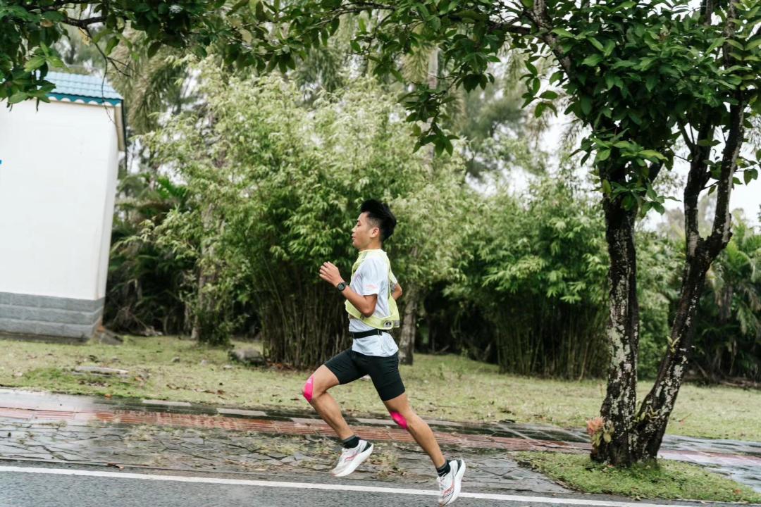 越山向海解析,越山向海深度解析