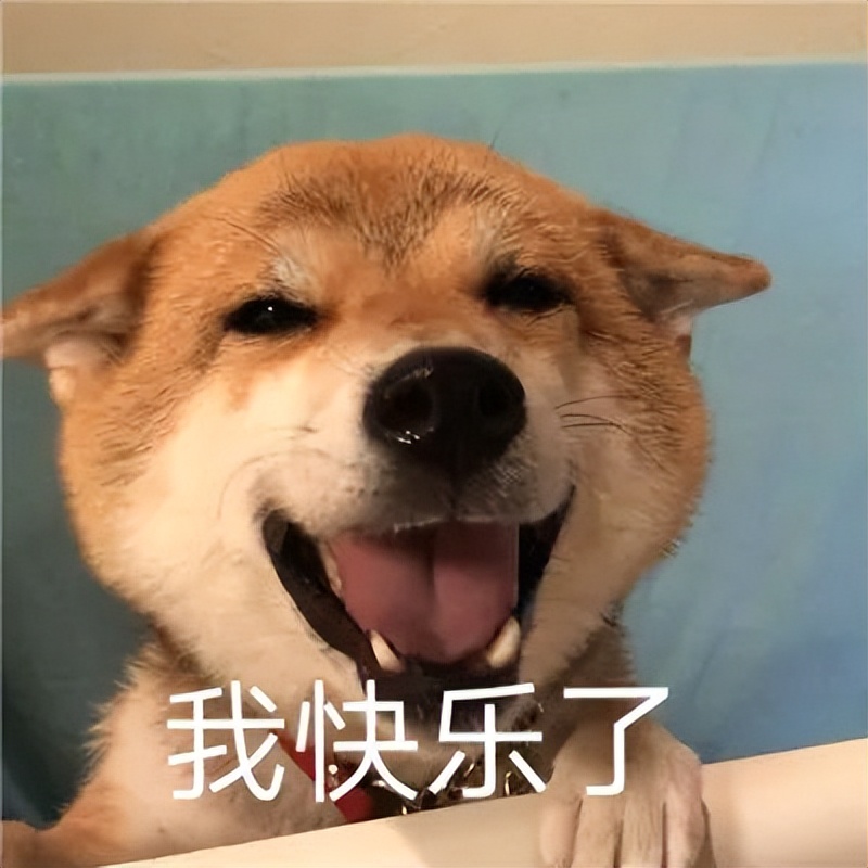 花旗银行有倒闭风险吗,花旗银行倒闭了吗