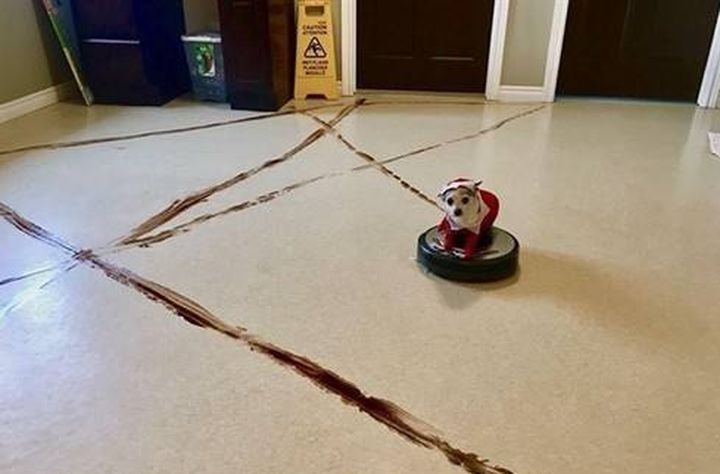 公认最好的扫地拖地机器人第一名,扫地机器人和吸拖一体机哪个实用