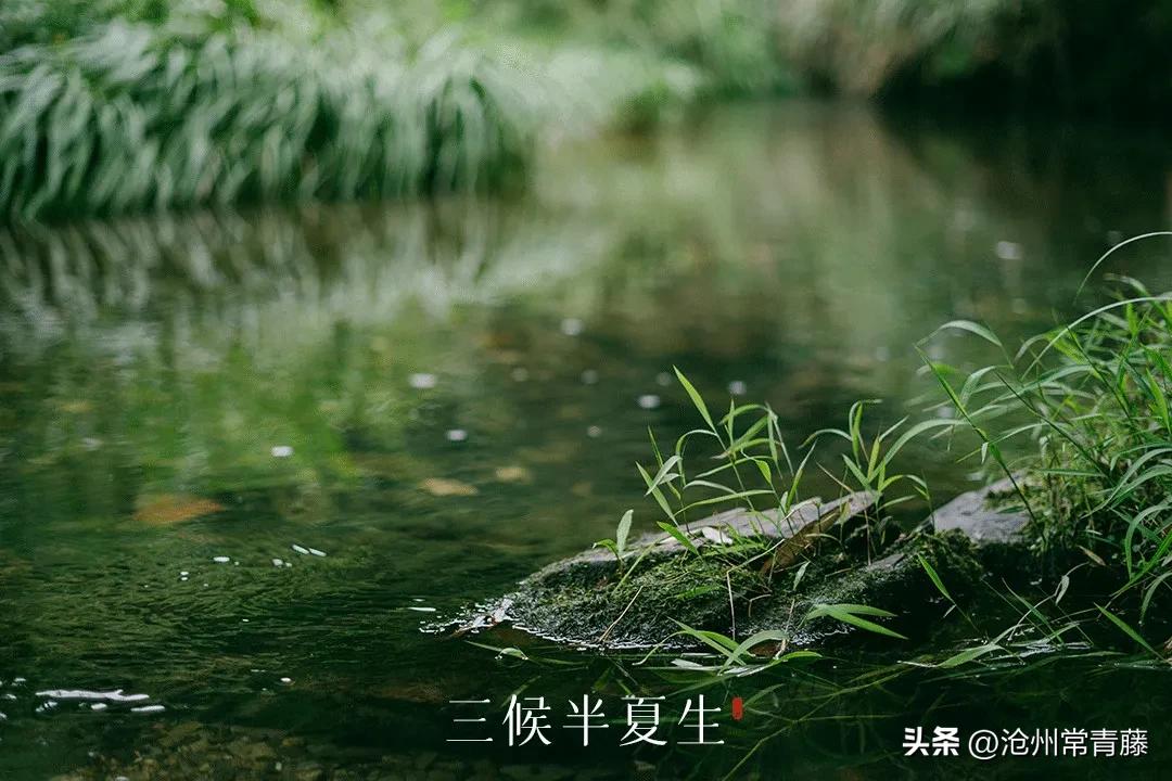 夏至节气感慨,今日夏至话题
