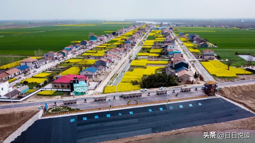 湖北荆州：石首“繁花”上大分↑即将刷爆朋友圈！