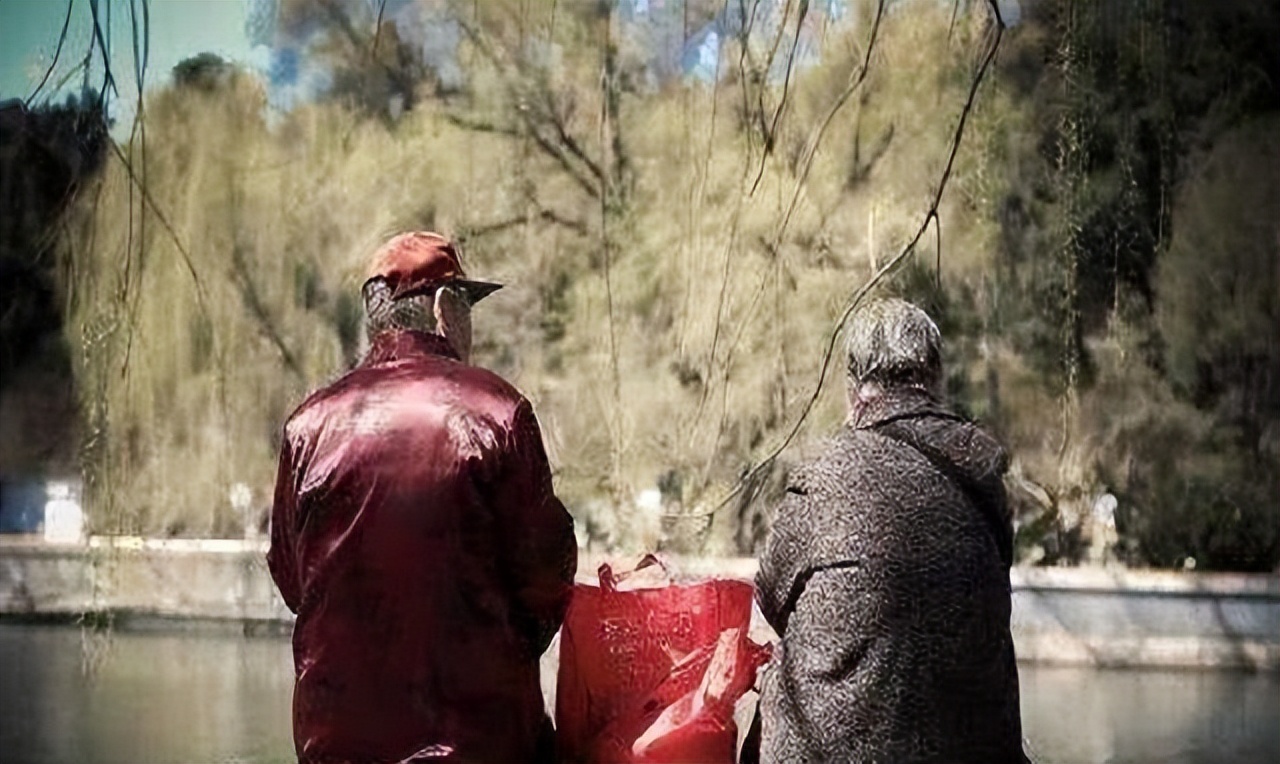 第一批丁克退休后的生活,首批丁克已退休他们的现状如何