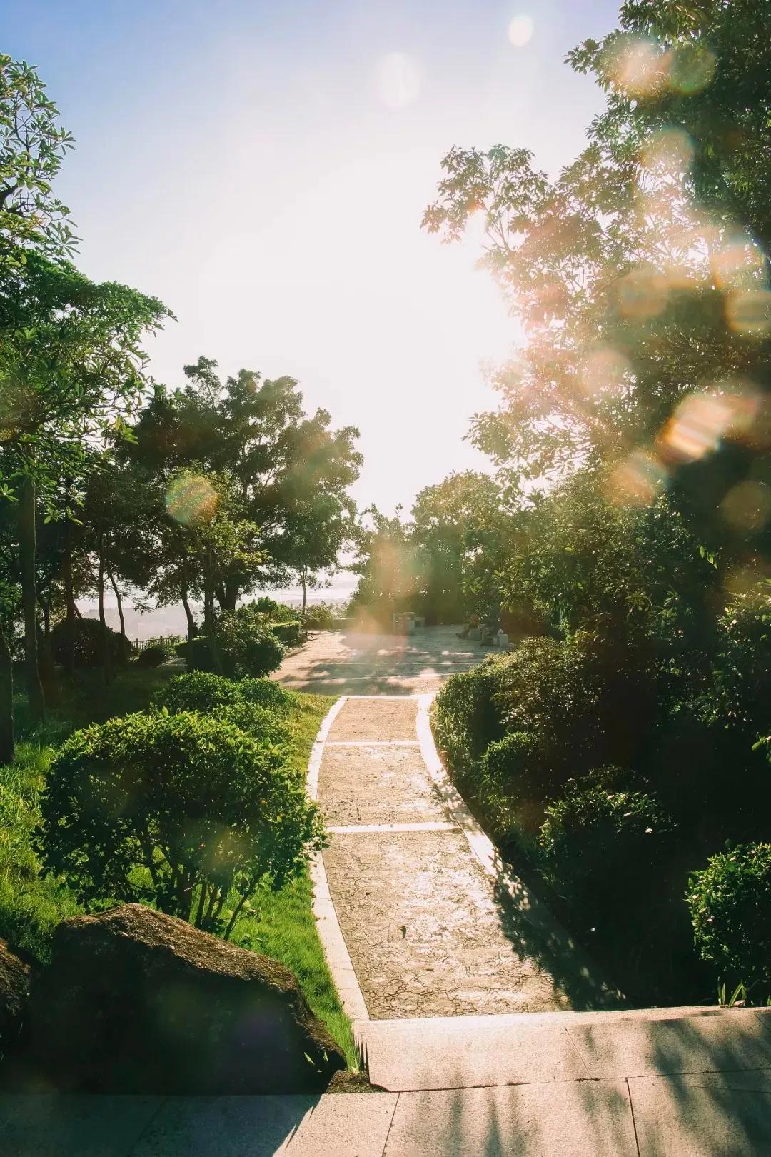 深圳最值得爬的景点,深圳十大最值得爬的山