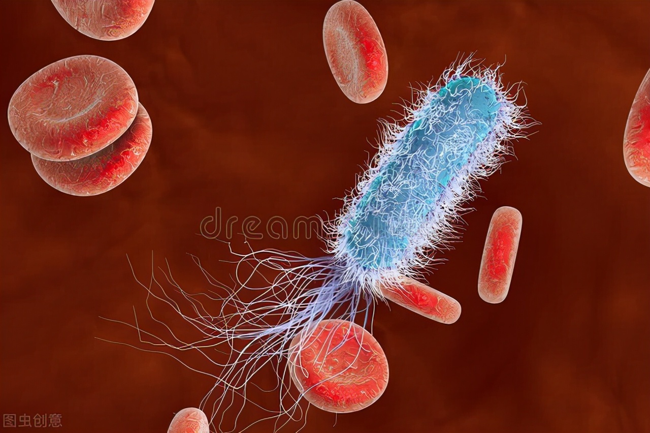 有炎症就用阿莫西林？这些副作用你可能不知道，不可滥用