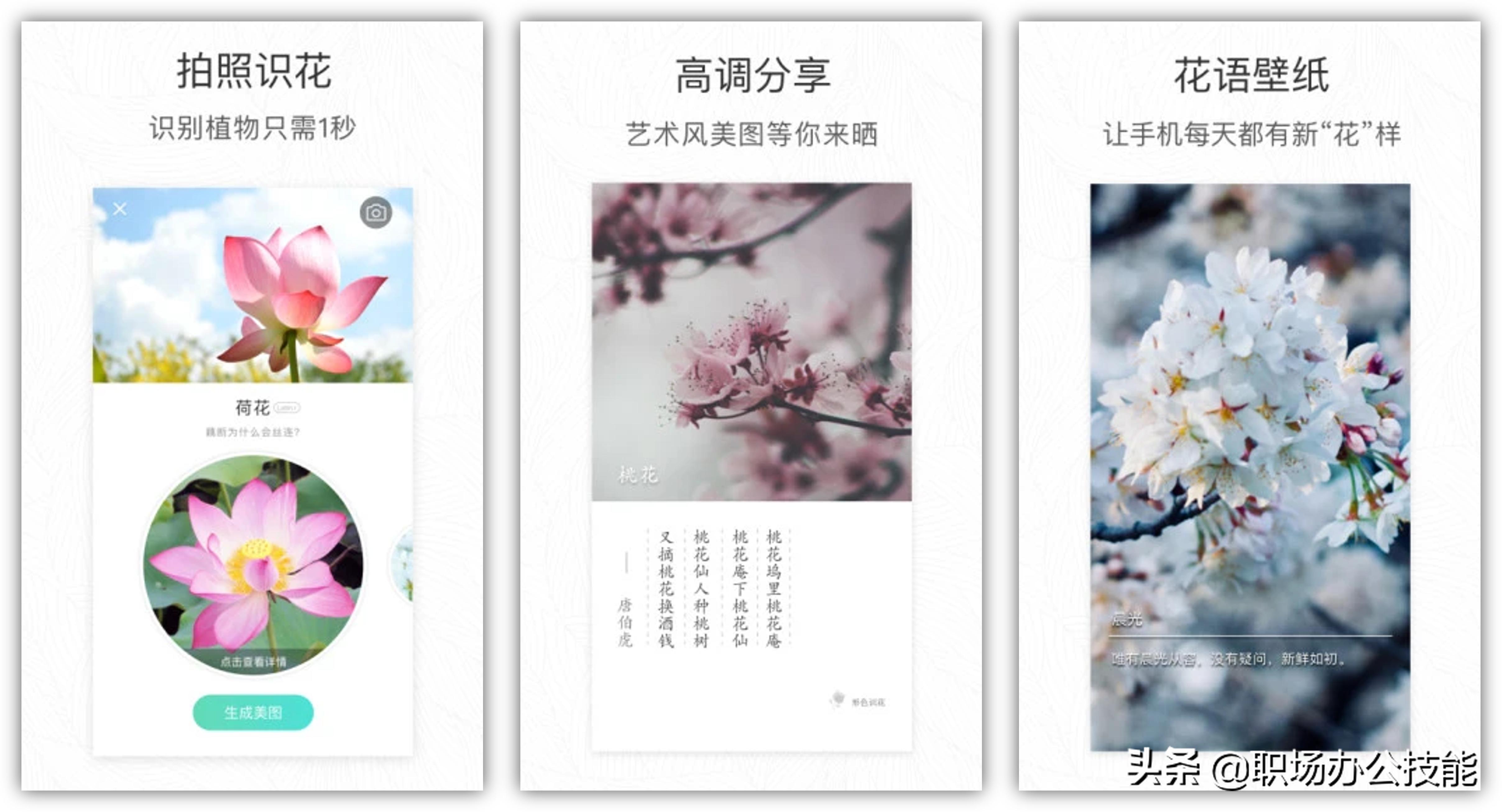 宝藏神器app推荐,宝藏app实用防尴尬