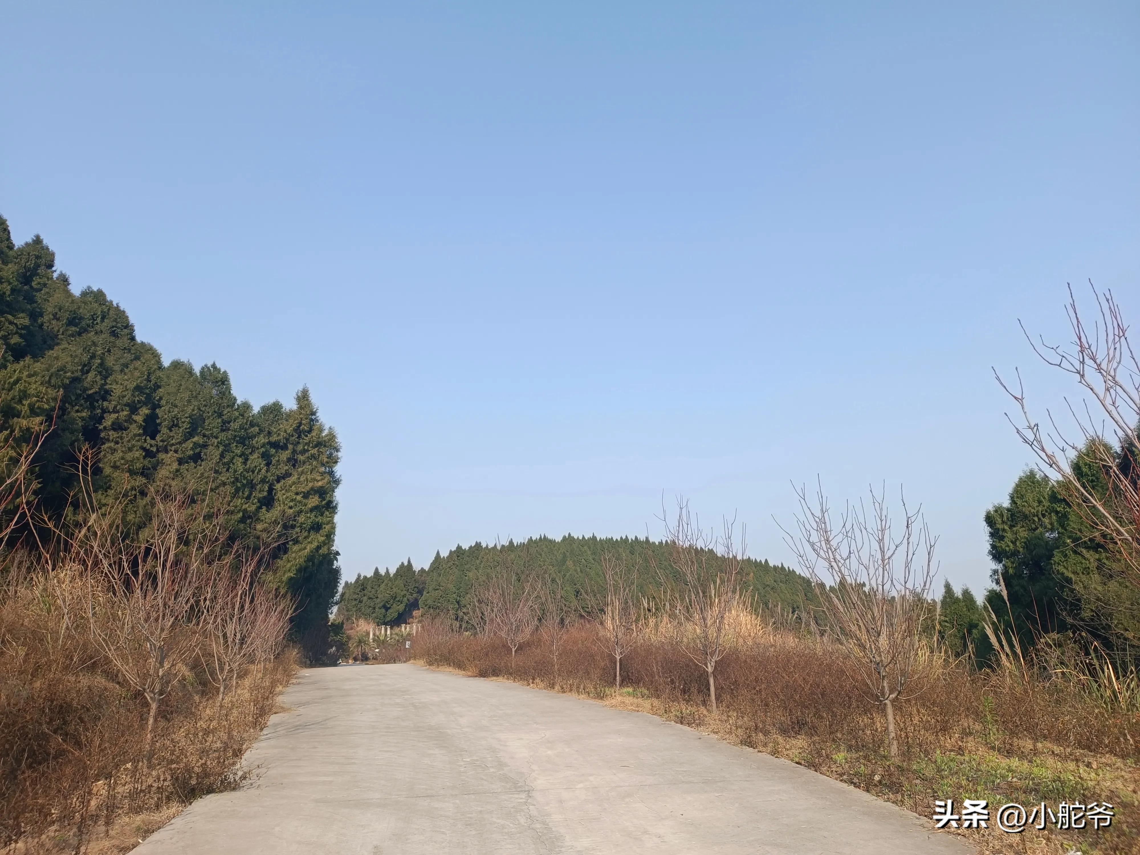 四川德阳中江县森林兵马俑,四川废弃兵马俑