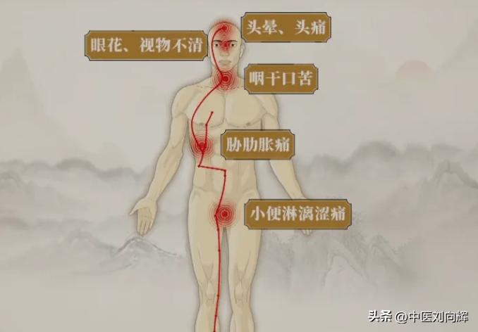 脾胃湿热下焦湿热大腿潮湿,大腿深处湿热吃什么中成药