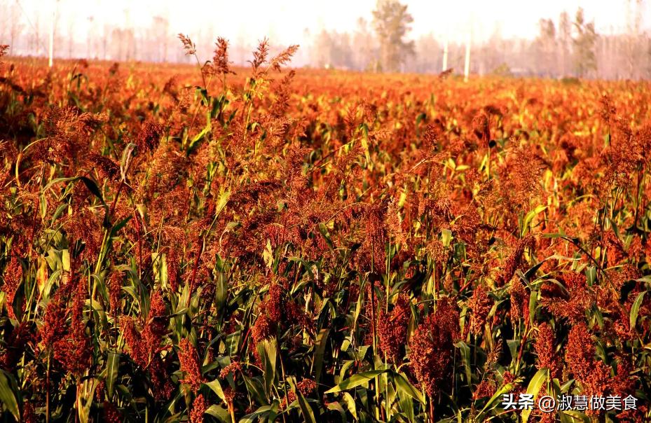中秋节送礼一般送什么给长辈,中秋节怎样送礼又有什么讲究