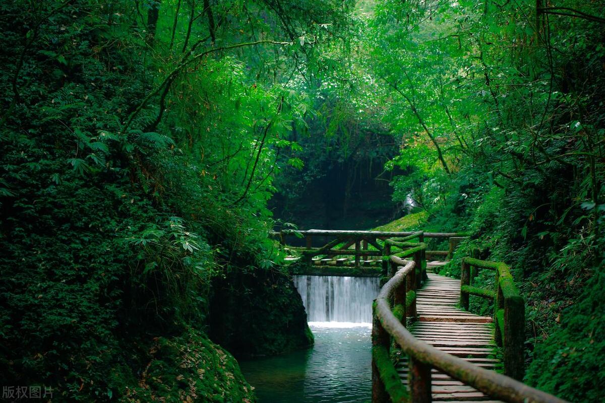 青城山的旅游特点,四川青城山适合居住吗
