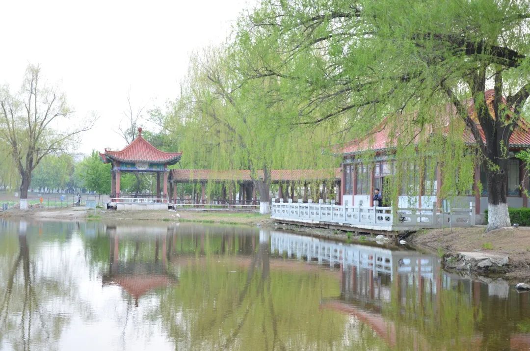 citywalk用脚步丈量城市,开启随性自由的citywalk