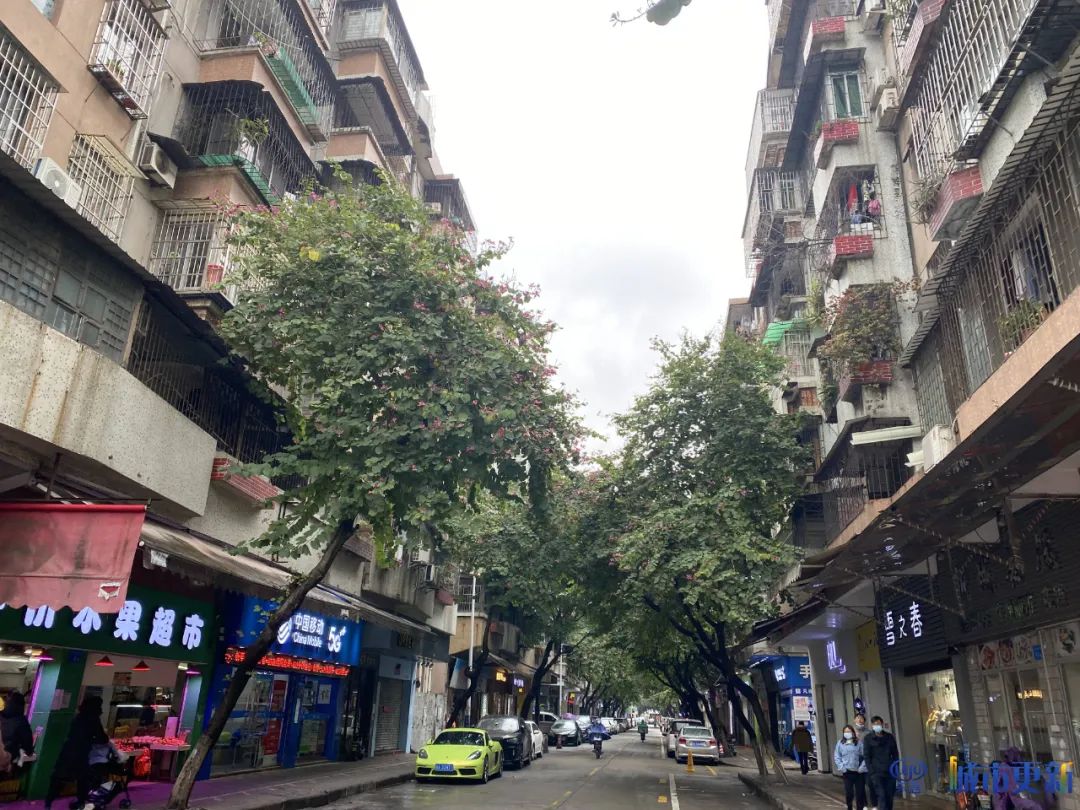 看看洛溪新城03年的样子,洛溪新城房价升值潜力