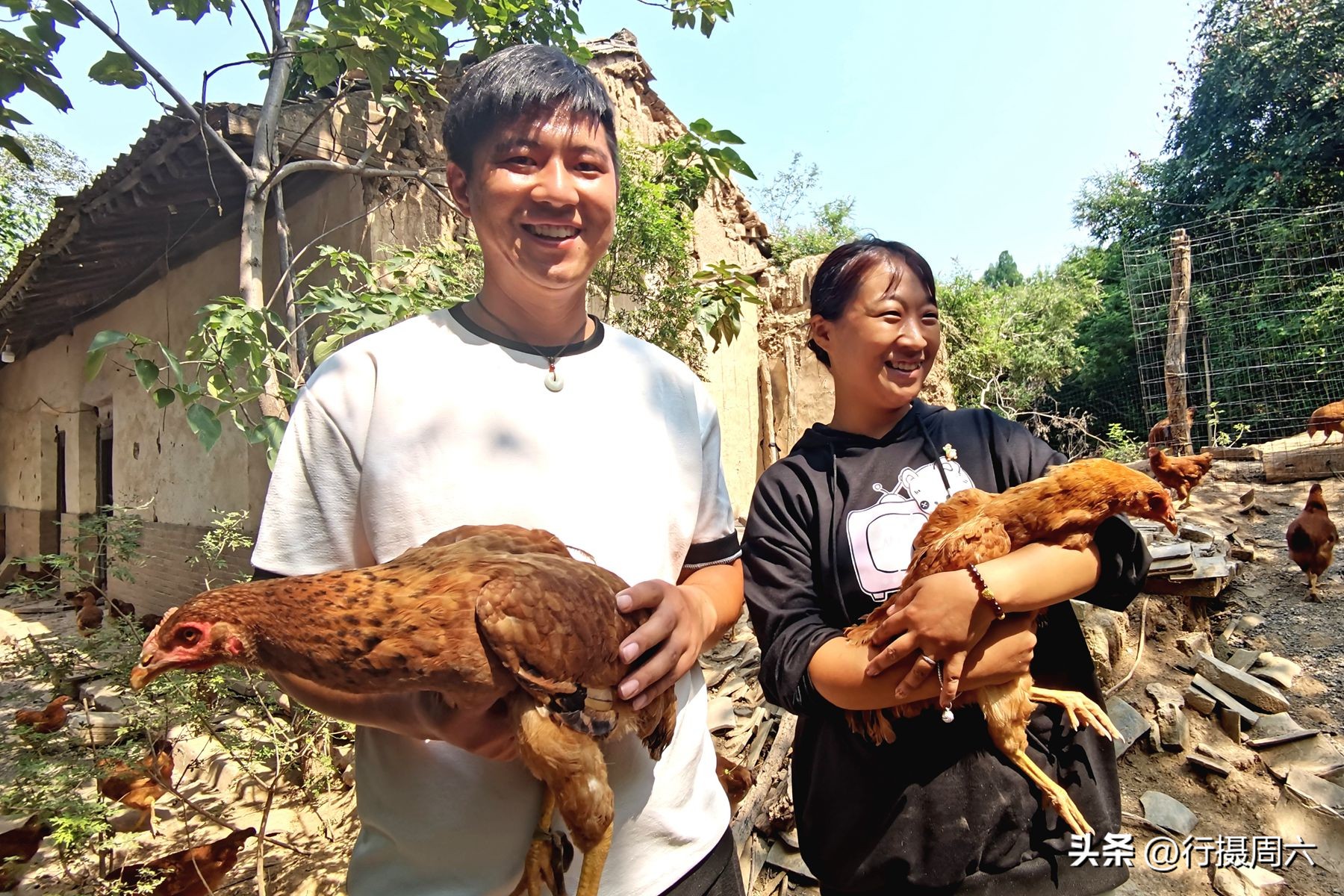 农村养跑山鸡前景,养殖1000只跑山鸡的成本和利润