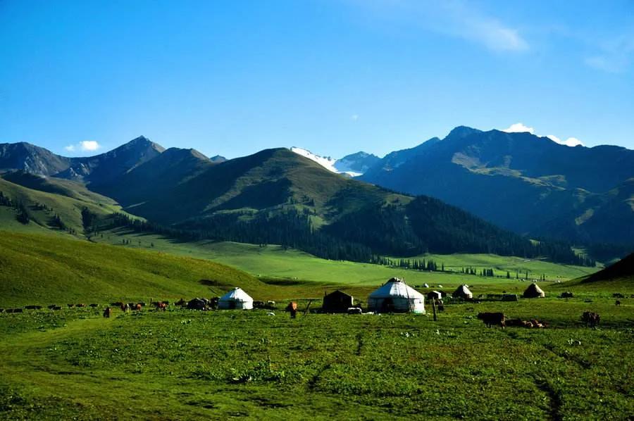 儿童近视吃什么药物可提高视力,怎样提高视力改善近视的方法
