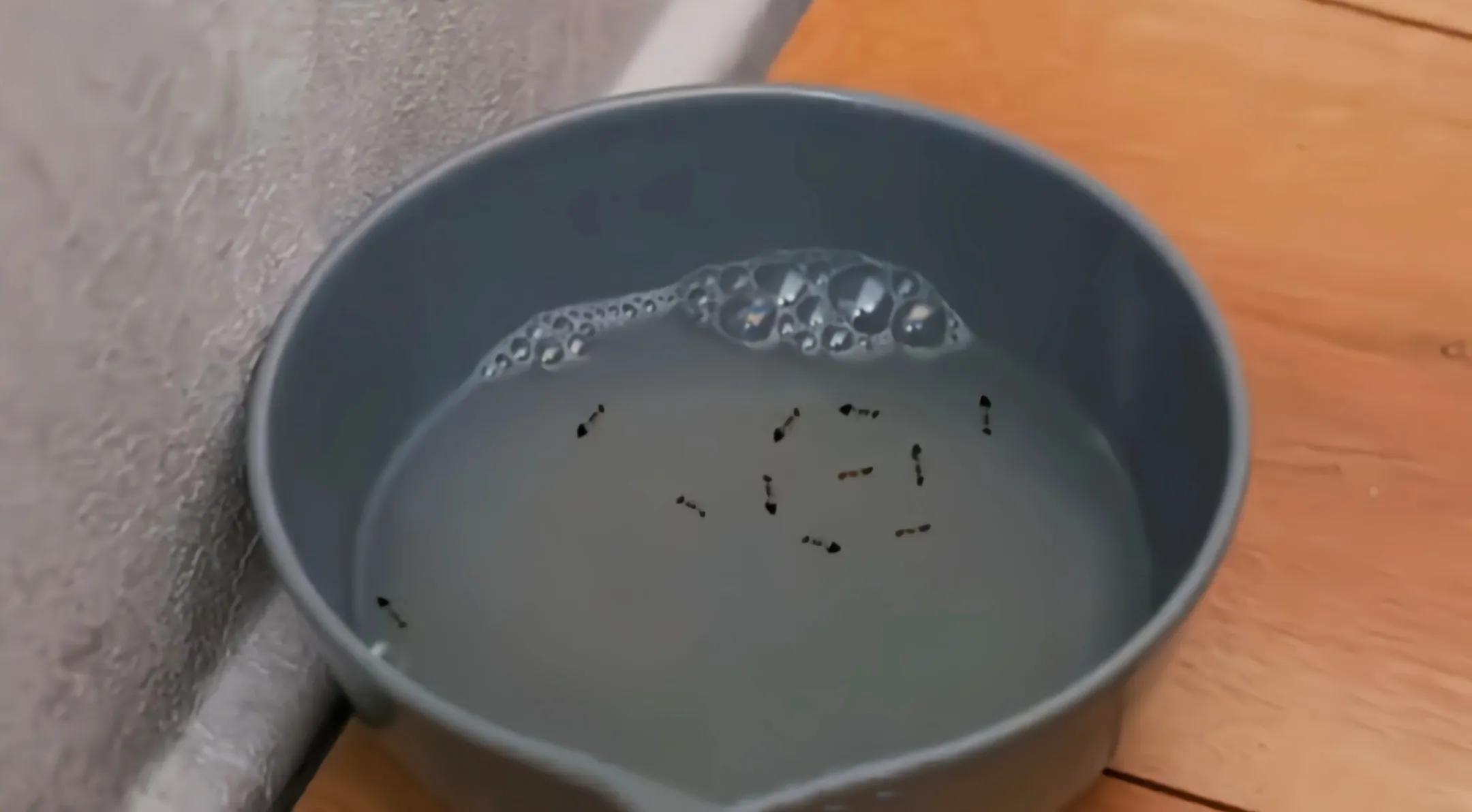 实用生活小妙招袜子,袜子怎么洗干净的小妙招