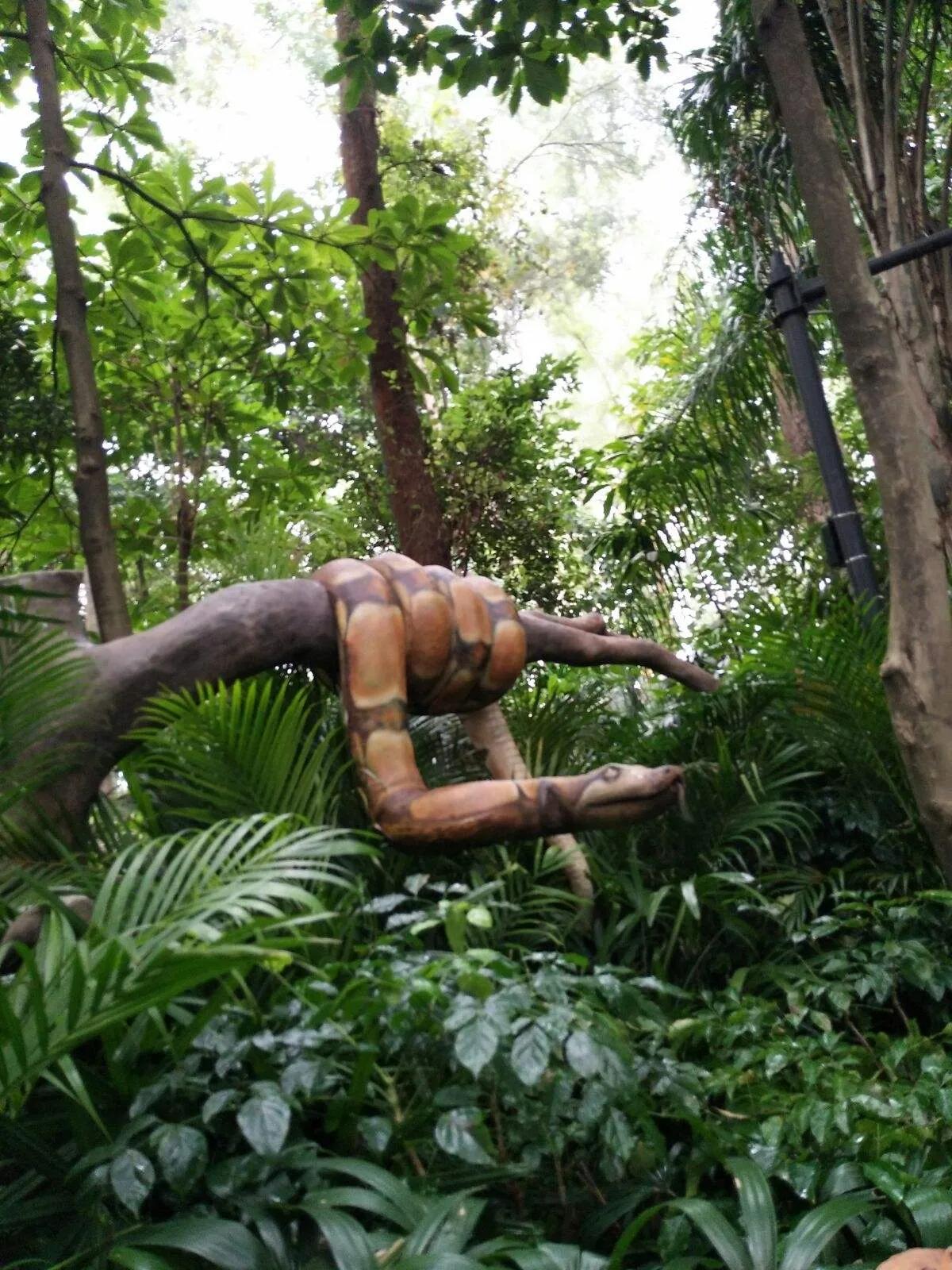 广州长隆野生动物世界有大象吗,广州长隆野生动物世界有多少动物