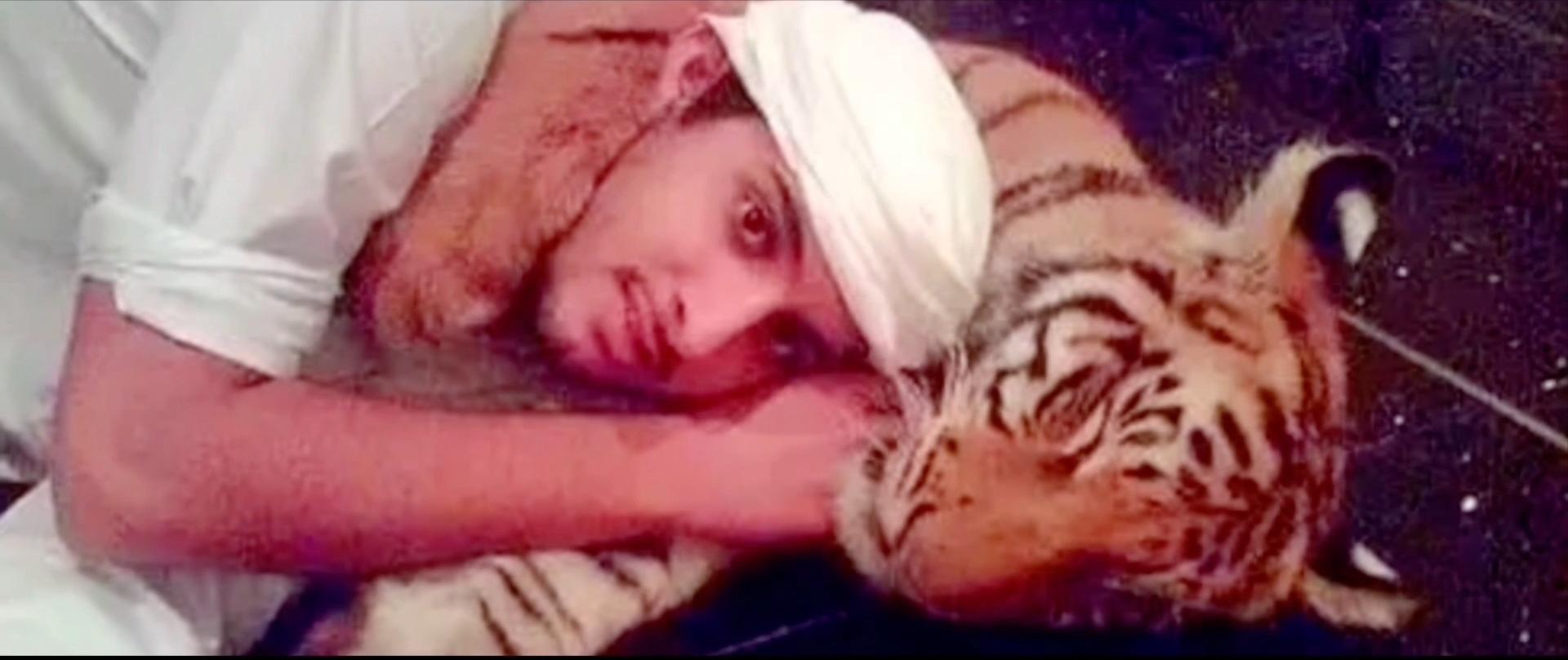 藏獒:中国的郁金香泡沫