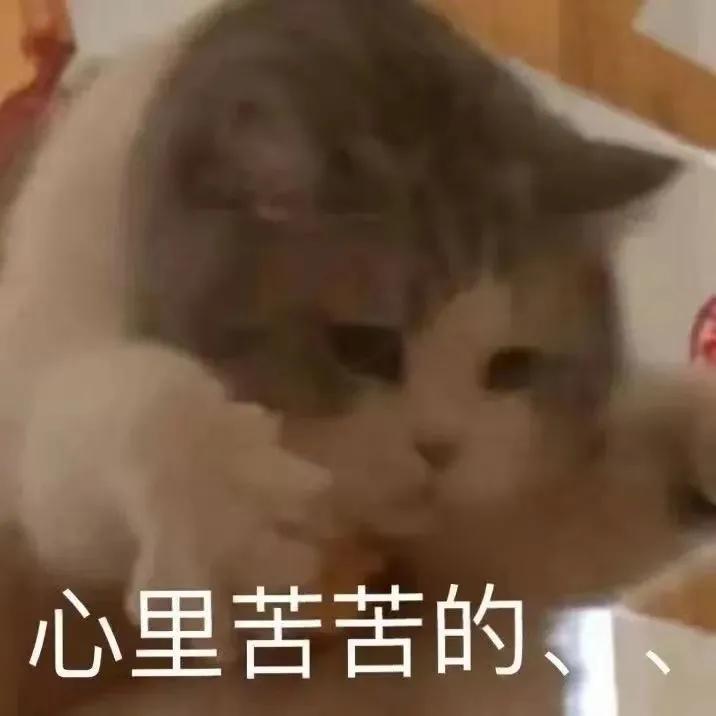 以前后背长痘现在前胸长痘特别多,怀孕后前胸后背脸上全是痘怎么办