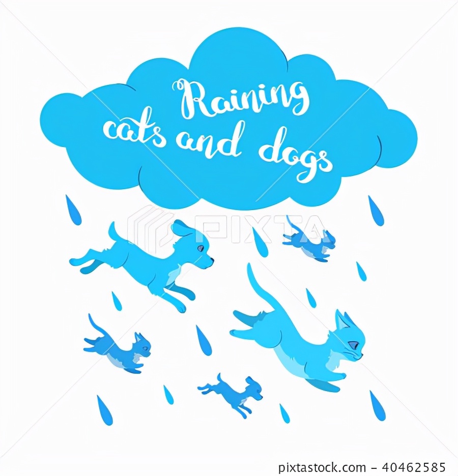 狗狗的英文短文,狗狗的英语口诀