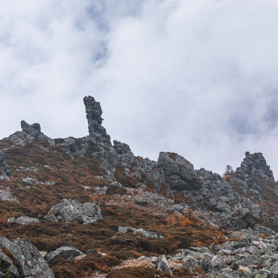 登太白山感受,太白山景区登顶拔仙台