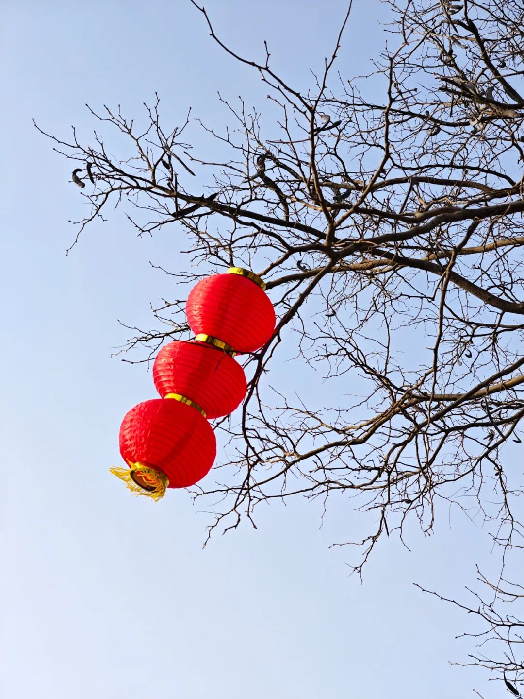 拍照手机推荐性价比高2000到3000,历史上拍照能力最强的手机排名