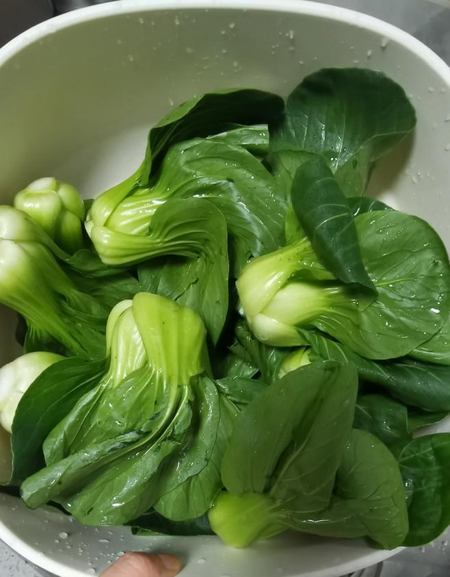 去完上海旅游后的感受,独自一人去上海旅游的感受