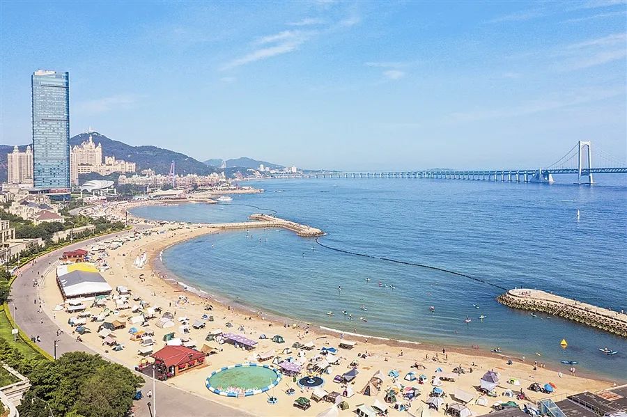 专项整治工作专班职责,成立专项整治行动领导小组