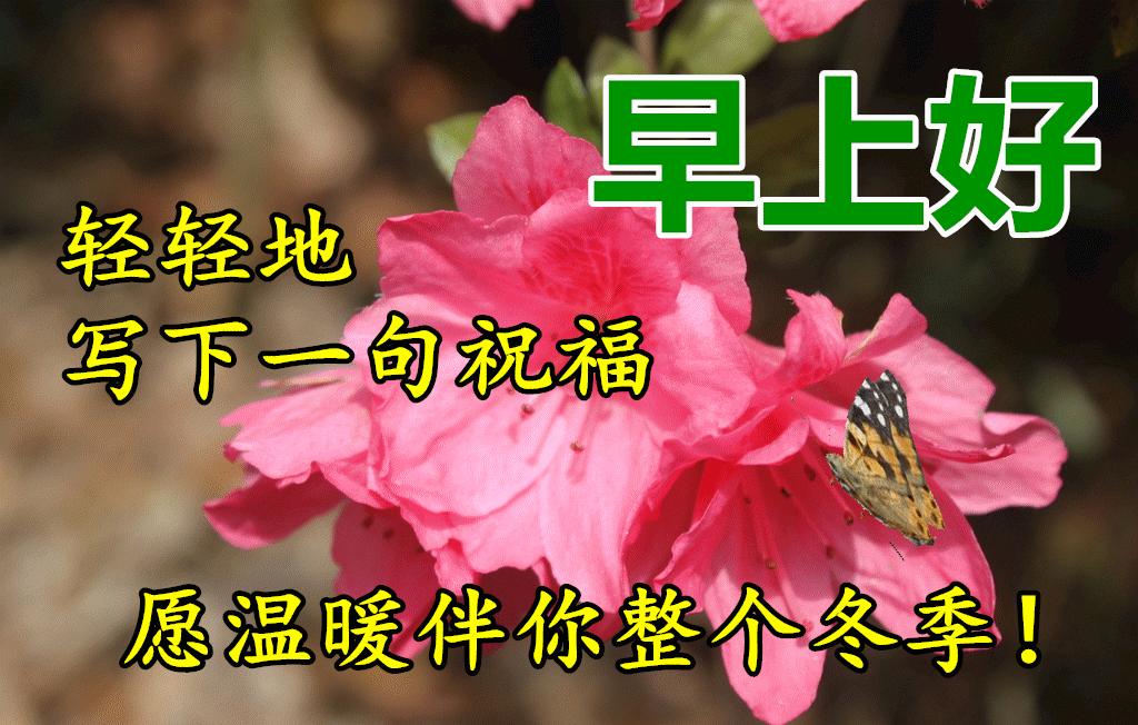 早晨好表情图片大全大图,下雨天的早晨好动态表情图片