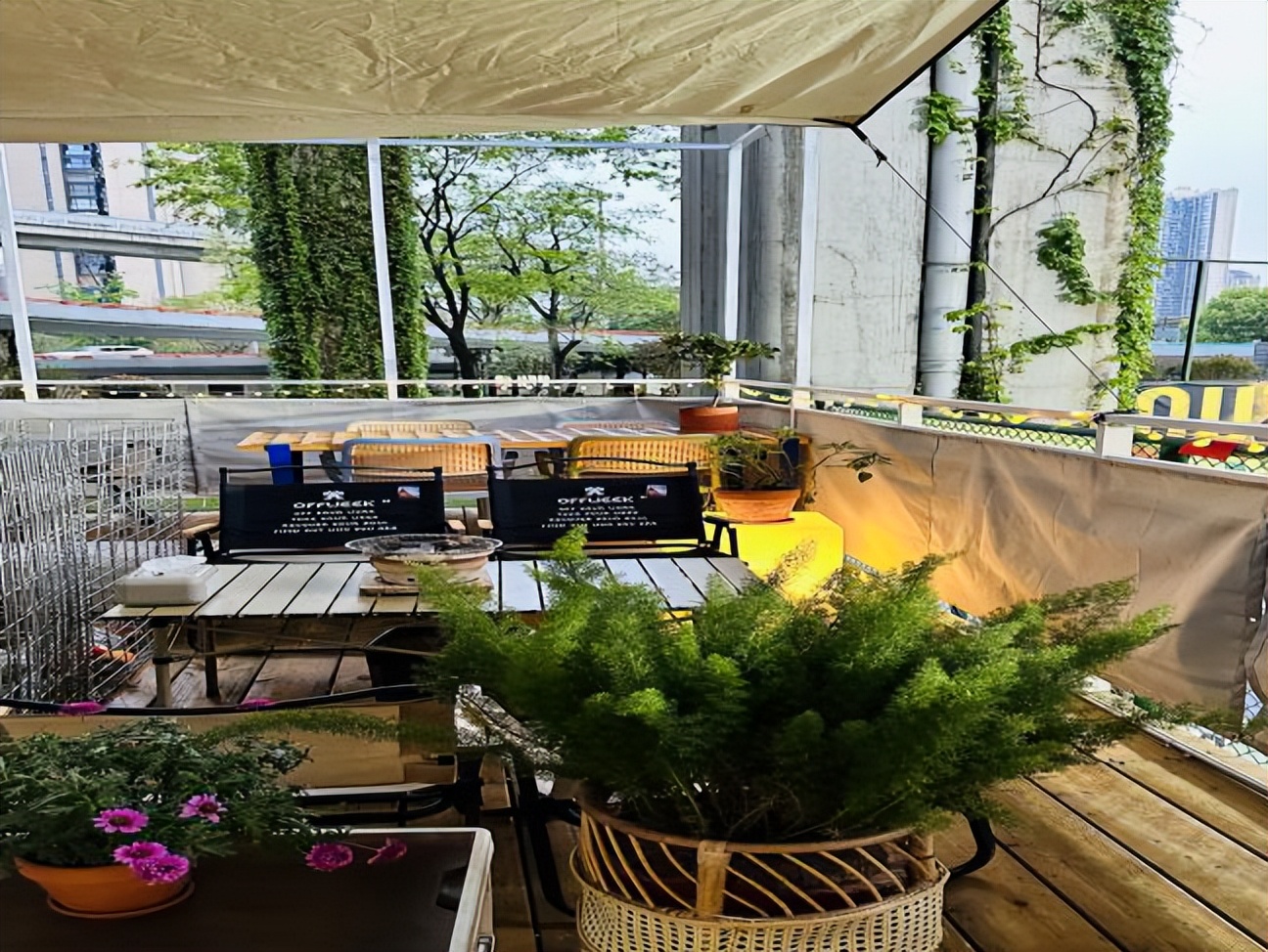 这套“运动装”，爱了！|成华融媒