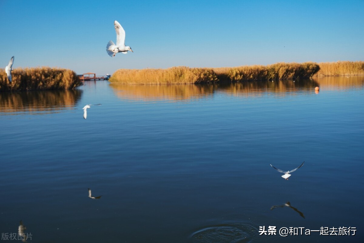 内蒙古巴彦淖尔市去哪玩比较好,巴彦淖尔值得去的地方