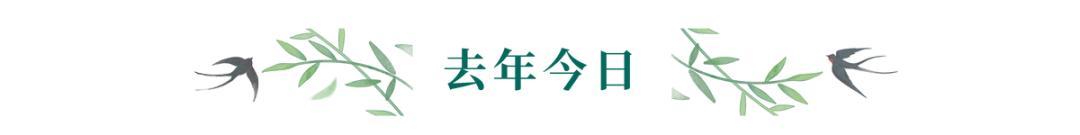 情人节冷笑话段子,情人节冷笑话段子大全