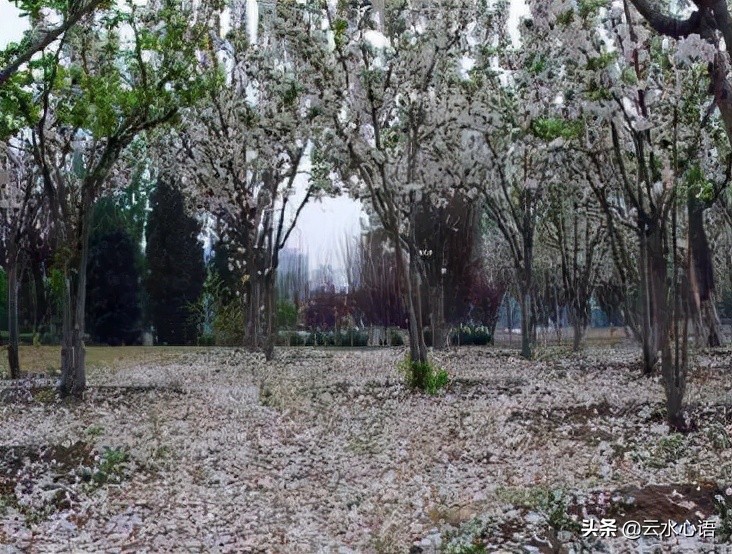 描写风的诗句古诗大全集,盘点写风诗词中的经典诗词