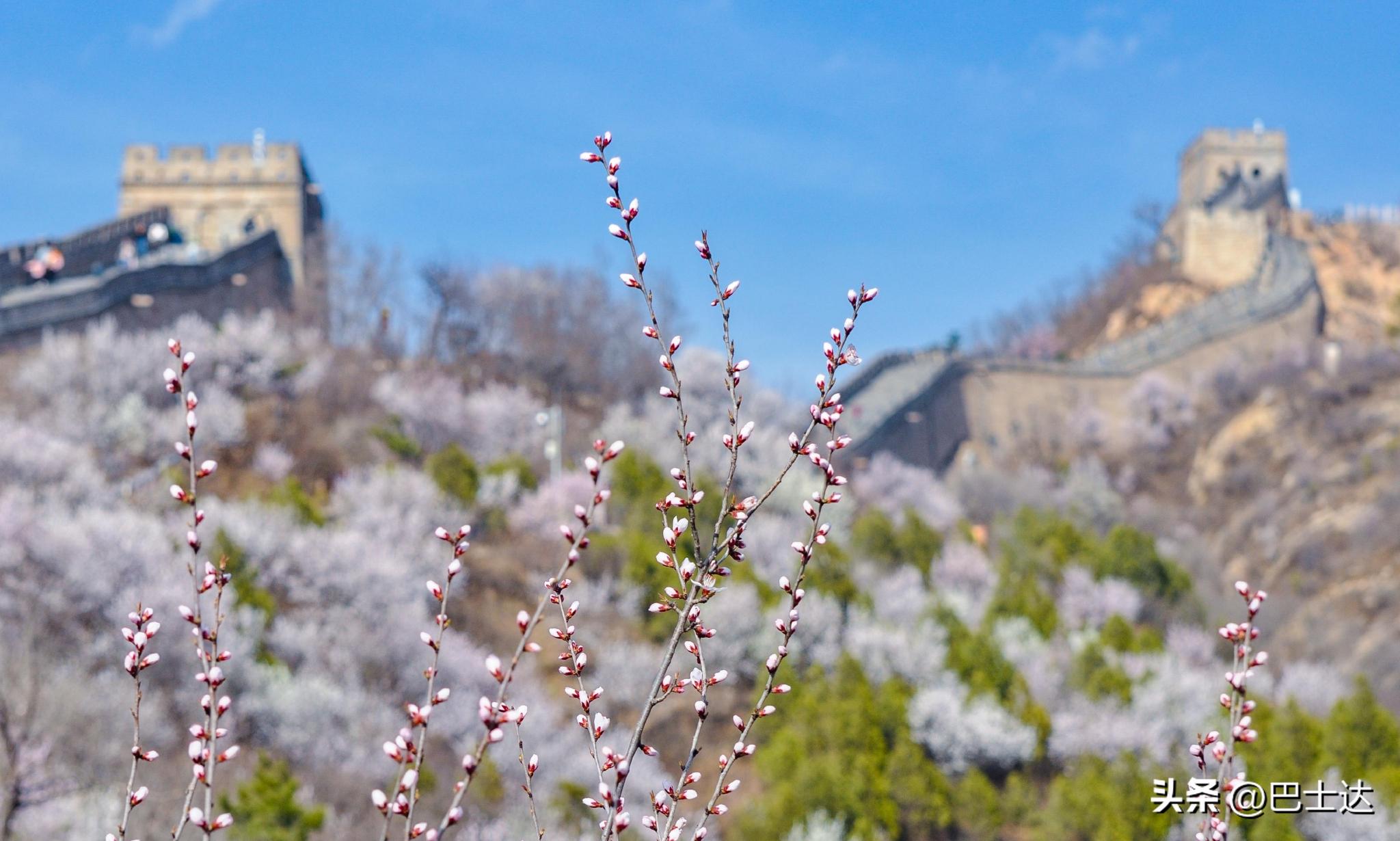 攻略北京八达岭长城有滑道,北京去八达岭长城的最佳攻略