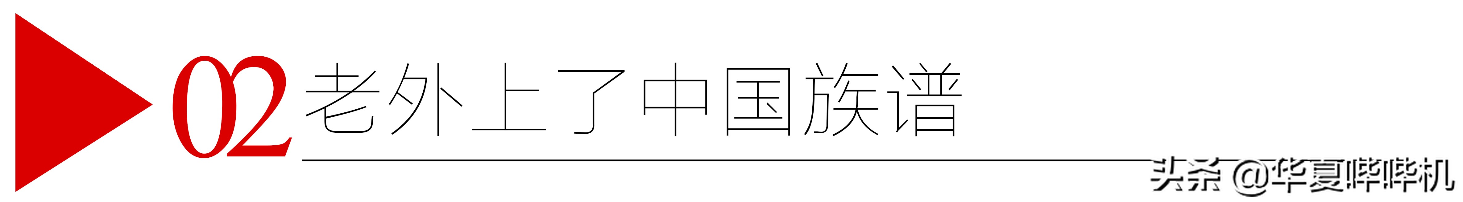 “中国通”大山的走红，和他回国的真相