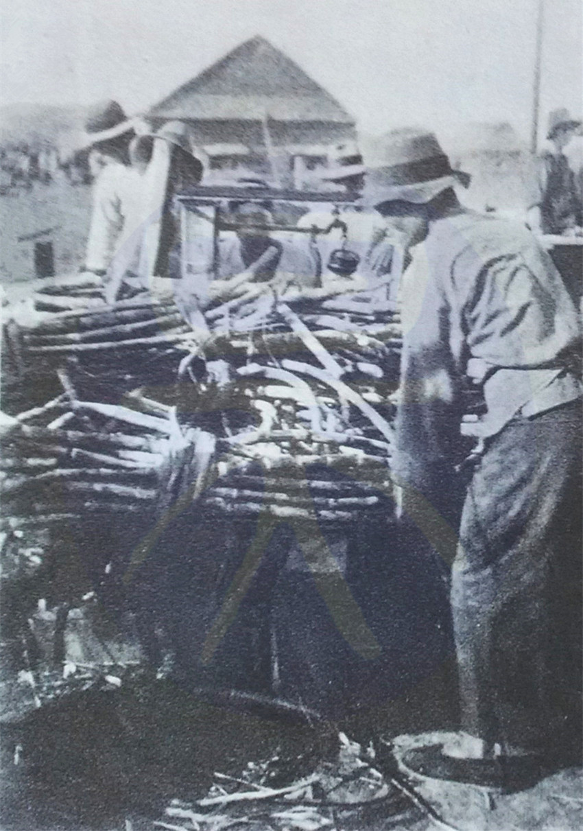 制糖业的历史,赣南制糖厂老照片