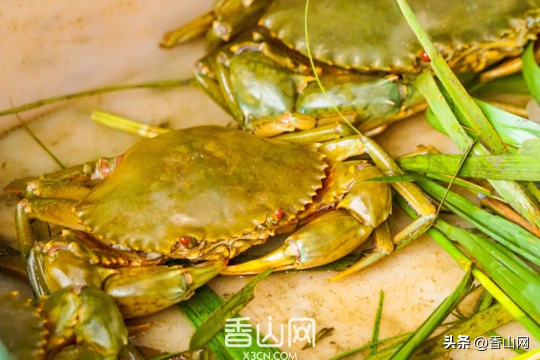 珠海专门吃海鲜地方,珠海海鲜市场吃海鲜哪里便宜