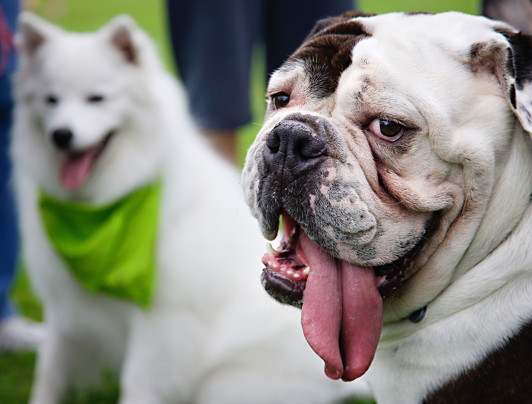 夏日避暑小妙招歌曲,夏日避暑小妙招幼儿园
