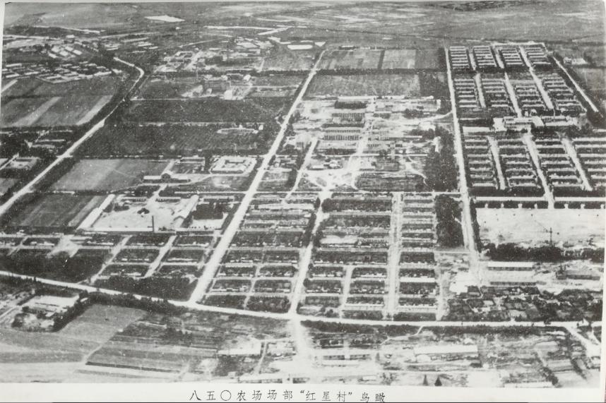 农垦北大荒知青故事,北大荒老故事