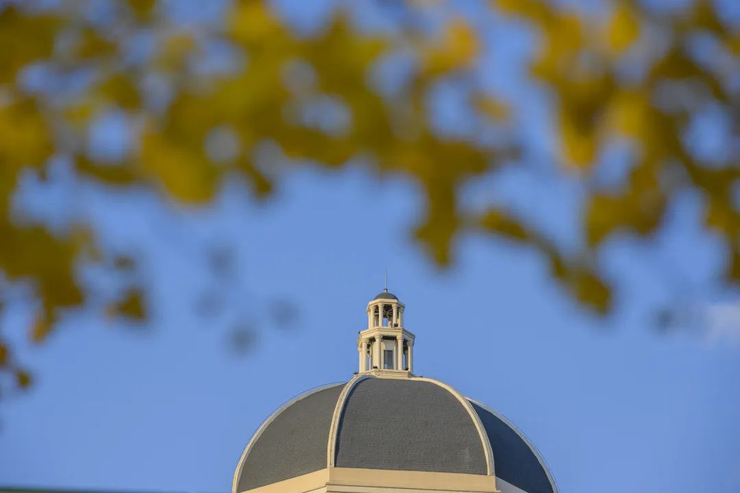 外国语大学本科招生简章,2023年上海外国语大学招生