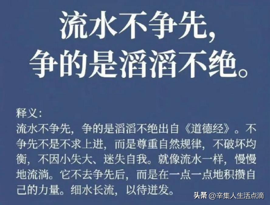 皮都英才录·巾帼不让须眉！辛集市女状元武秀梅的艰辛创业路！