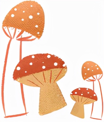 宝宝睡眠中遇到的问题,宝宝睡眠的事例