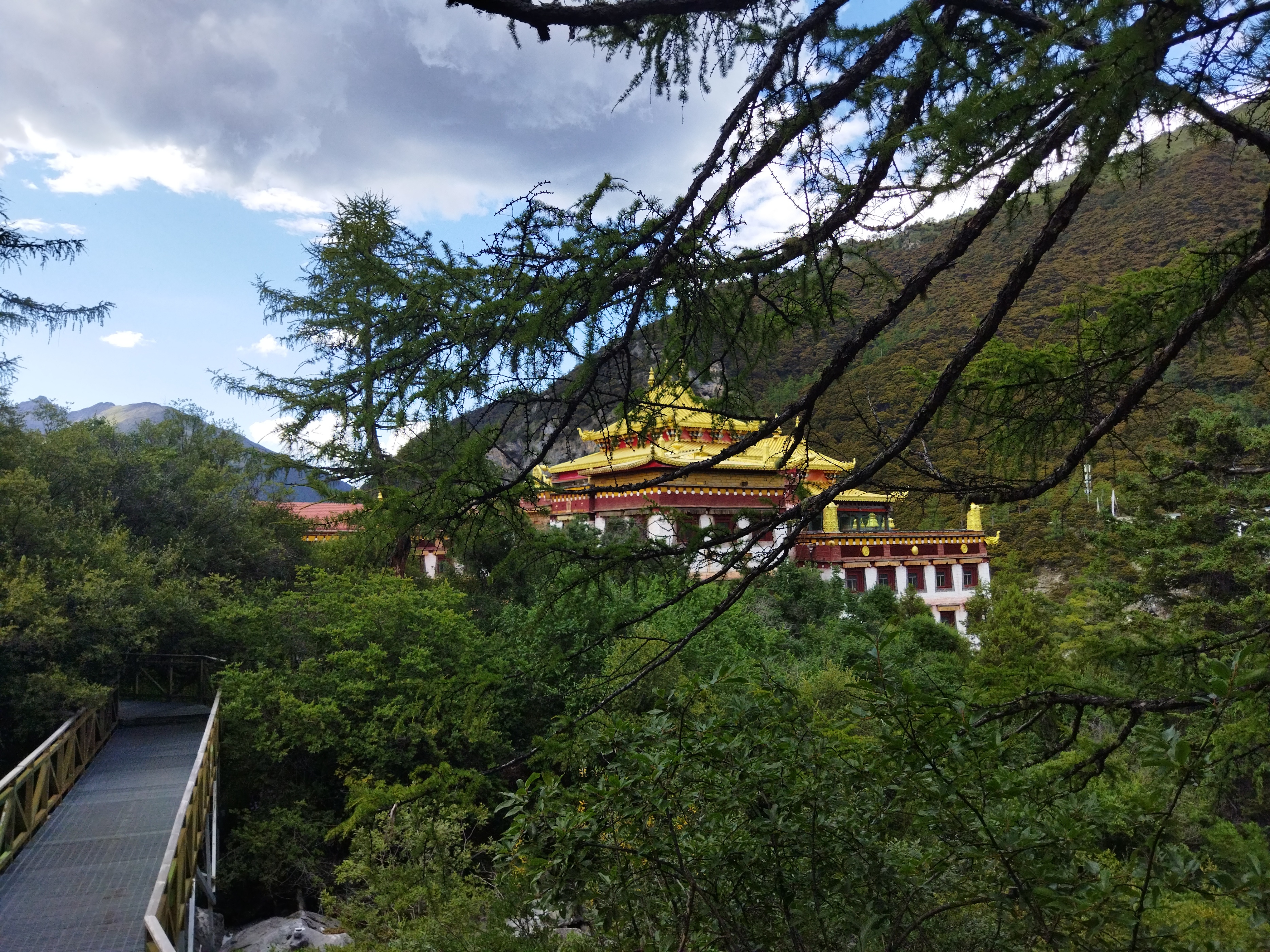 四川旅游攻略12月稻城亚丁,新都桥鱼子西攻略