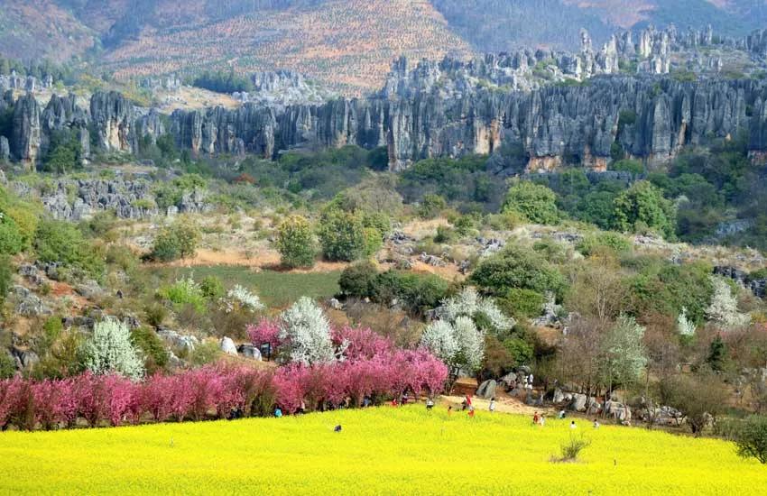 春风吹拂大地一片生机,春风吹拂生机盎然