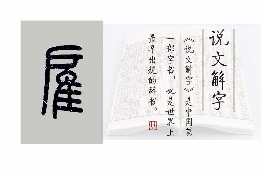《说文解字》第710课:细说“雇”字,它本来是九种鸟的统称