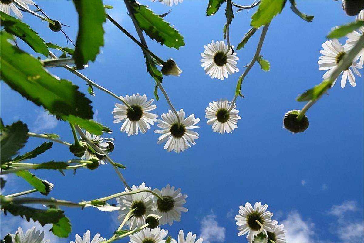 逾期10年的信用卡违约金要翻几倍,信用卡逾期1500要多少钱违约金